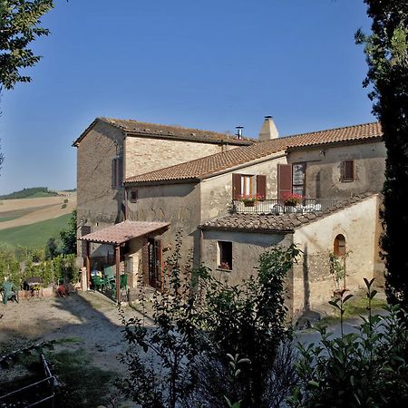 Agriturismo Podere Olivello In Val D'Orcia Montalcino Ngoại thất bức ảnh