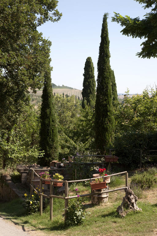 Agriturismo Podere Olivello In Val D'Orcia Montalcino Ngoại thất bức ảnh