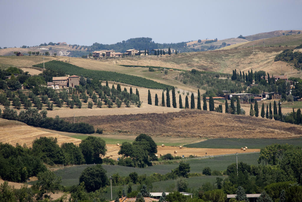 Agriturismo Podere Olivello In Val D'Orcia Montalcino Ngoại thất bức ảnh